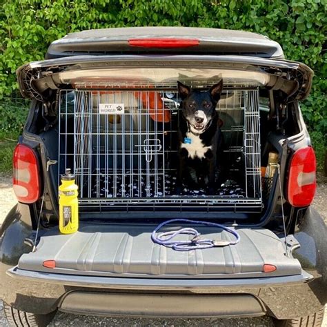 safest car crates for dogs